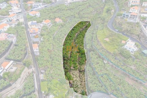 Helårsgrund i Ponta do Sol, Madeira, Ponta do Sol - € 280.000 | Ref: RK11385 - foto 14