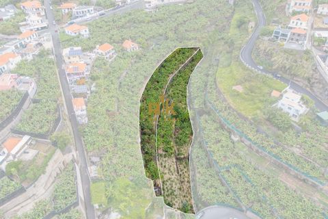 Helårsgrund i Ponta do Sol, Madeira, Ponta do Sol - € 280.000 | Ref: RK11385 - foto 15