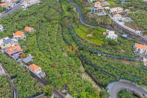 Helårsgrund i Ponta do Sol, Madeira, Ponta do Sol - € 280.000 | Ref: RK11385 - foto 16