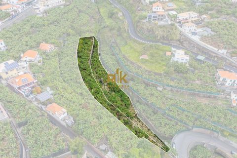 Helårsgrund i Ponta do Sol, Madeira, Ponta do Sol - € 280.000 | Ref: RK11385 - foto 18
