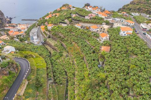 Helårsgrund i Ponta do Sol, Madeira, Ponta do Sol - € 280.000 | Ref: RK11385 - foto 19