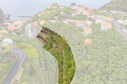 Helårsgrund i Ponta do Sol, Madeira, Ponta do Sol - € 280.000 | Ref: RK11385 - foto 20