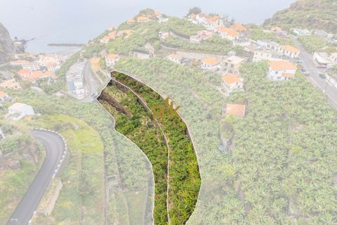 Helårsgrund i Ponta do Sol, Madeira, Ponta do Sol - € 280.000 | Ref: RK11385 - foto 1