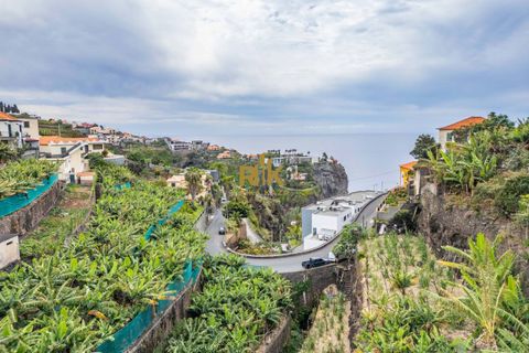 Helårsgrund i Ponta do Sol, Madeira, Ponta do Sol - € 280.000 | Ref: RK11385 - foto 3