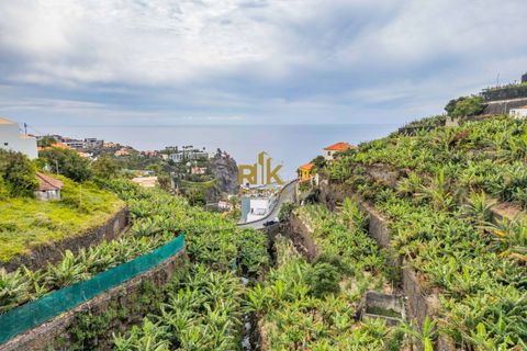 Helårsgrund i Ponta do Sol, Madeira, Ponta do Sol - € 280.000 | Ref: RK11385 - foto 21