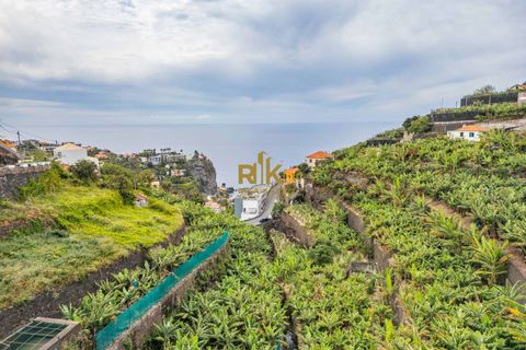 Helårsgrund i Ponta do Sol, Madeira, Ponta do Sol - € 280.000 | Ref: RK11385 - foto 22