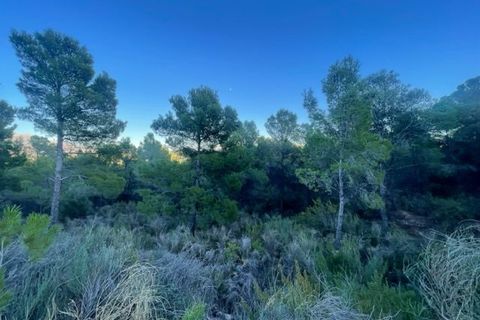 Terra a Polop, Alicante, Polop - € 700.000 | Ref: 3636b - foto 2