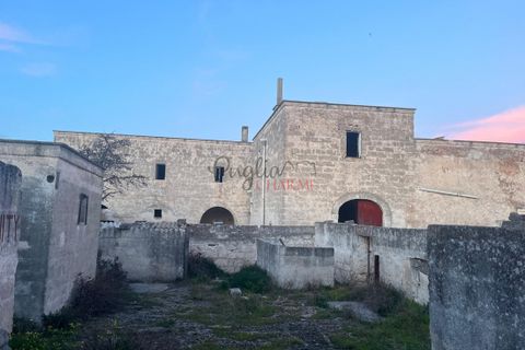 Landejendom i Ostuni, Brindisi, Ostuni - € 11.111.111 | Ref: 277 - foto 2