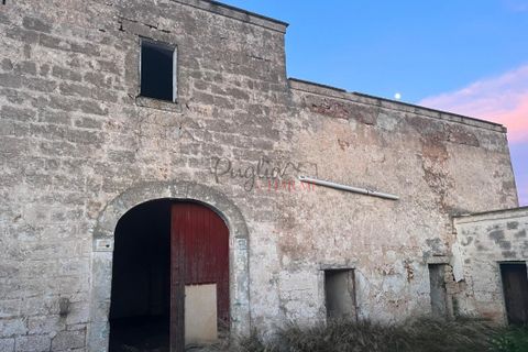 Landejendom i Ostuni, Brindisi, Ostuni - € 11.111.111 | Ref: 277 - foto 4