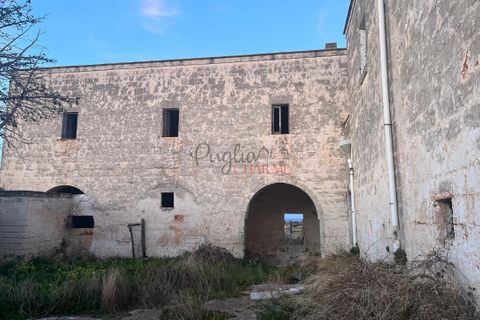 Landejendom i Ostuni, Brindisi, Ostuni - € 11.111.111 | Ref: 277 - foto 3