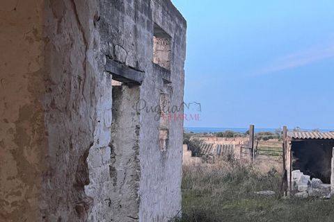 Landejendom i Ostuni, Brindisi, Ostuni - € 11.111.111 | Ref: 277 - foto 5