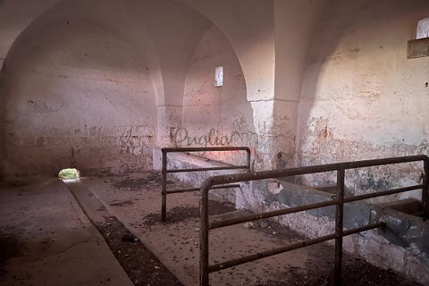 Landejendom i Ostuni, Brindisi, Ostuni - € 11.111.111 | Ref: 277 - foto 12