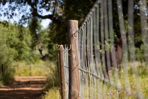 Farm hus i Estremoz, Evora, Estremoz - € 4.500.000 | Ref: PL1031 - foto 19