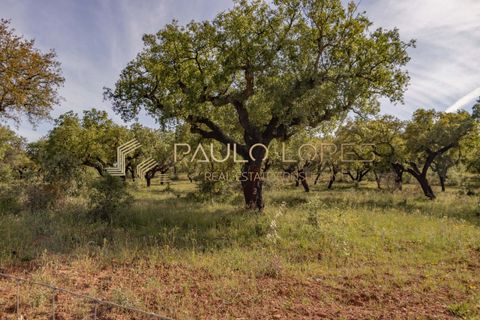 Farm hus i Estremoz, Evora, Estremoz - € 4.500.000 | Ref: PL1031 - foto 21