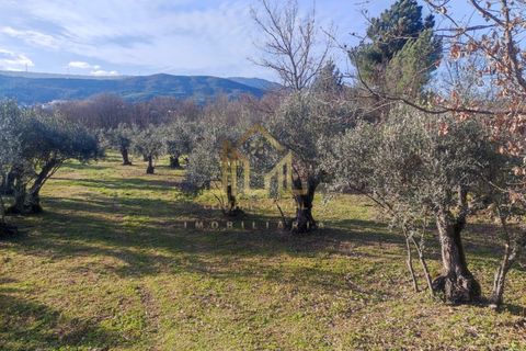 Helårsgrund i Guarda, Guarda, Guarda - € 29.000 | Ref: SÒL_66 - foto 2