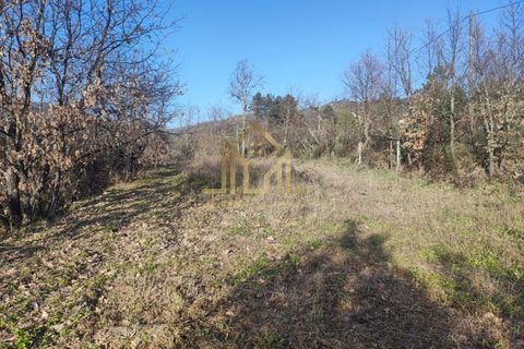 Helårsgrund i Guarda, Guarda, Guarda - € 29.000 | Ref: SÒL_66 - foto 3
