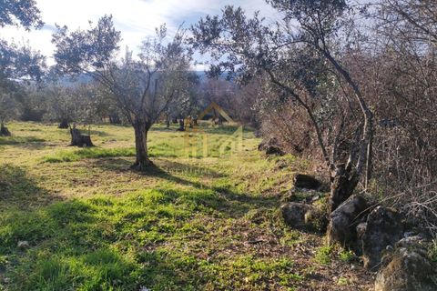 Helårsgrund i Guarda, Guarda, Guarda - € 29.000 | Ref: SÒL_66 - foto 4