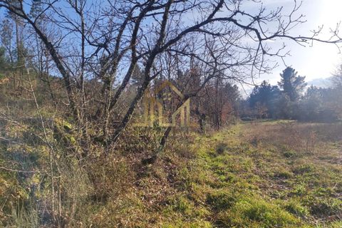 Helårsgrund i Guarda, Guarda, Guarda - € 29.000 | Ref: SÒL_66 - foto 5