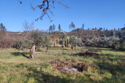 Helårsgrund i Guarda, Guarda, Guarda - € 29.000 | Ref: SÒL_66 - foto 6