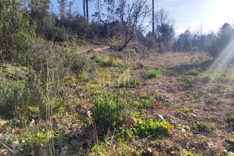 Helårsgrund i Guarda, Guarda, Guarda - € 29.000 | Ref: SÒL_66 - foto 7
