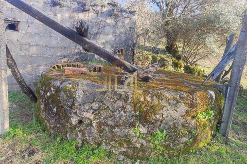 Helårsgrund i Guarda, Guarda, Guarda - € 29.000 | Ref: SÒL_66 - foto 9