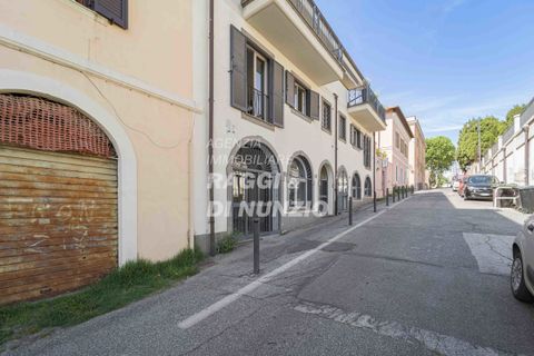 L'establiment comercial a Grottaferrata, Rome, Grottaferrata - € 1.300/mes | Ref: 156 - foto 2