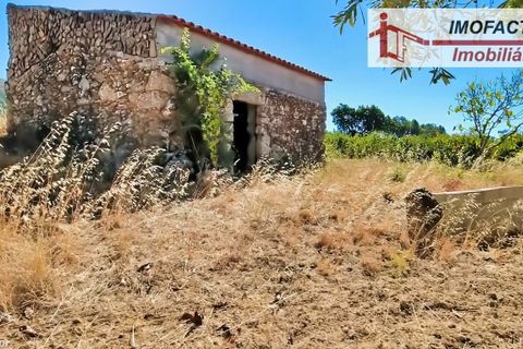 Farm hus i Vale de Prazeres e Mata da Rainha, Castelo Branco, Vale de Prazeres e Mata da Rainha - € 39.500 | Ref: 21-11798 - foto 2