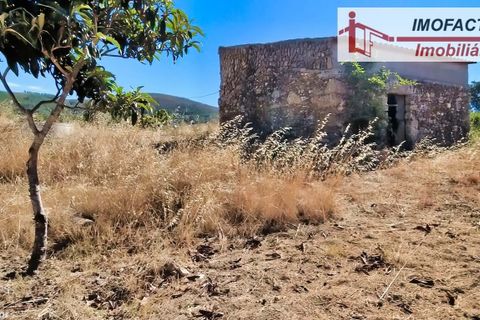 Farm hus i Vale de Prazeres e Mata da Rainha, Castelo Branco, Vale de Prazeres e Mata da Rainha - € 39.500 | Ref: 21-11798 - foto 3
