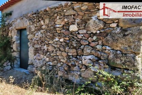 Farm hus i Vale de Prazeres e Mata da Rainha, Castelo Branco, Vale de Prazeres e Mata da Rainha - € 39.500 | Ref: 21-11798 - foto 5