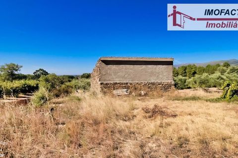 Farm hus i Vale de Prazeres e Mata da Rainha, Castelo Branco, Vale de Prazeres e Mata da Rainha - € 39.500 | Ref: 21-11798 - foto 9
