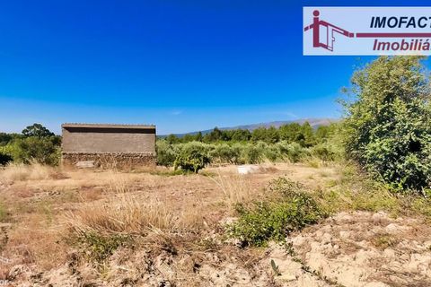Farm hus i Vale de Prazeres e Mata da Rainha, Castelo Branco, Vale de Prazeres e Mata da Rainha - € 39.500 | Ref: 21-11798 - foto 10