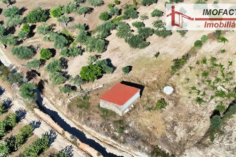 Farm hus i Vale de Prazeres e Mata da Rainha, Castelo Branco, Vale de Prazeres e Mata da Rainha - € 39.500 | Ref: 21-11798 - foto 11