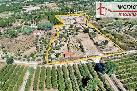 Farm hus i Vale de Prazeres e Mata da Rainha, Castelo Branco, Vale de Prazeres e Mata da Rainha - € 39.500 | Ref: 21-11798 - foto 13