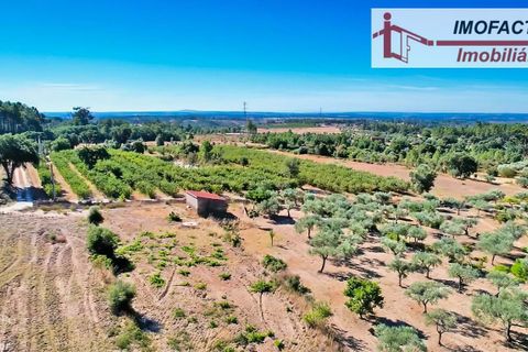 Farm hus i Vale de Prazeres e Mata da Rainha, Castelo Branco, Vale de Prazeres e Mata da Rainha - € 39.500 | Ref: 21-11798 - foto 14