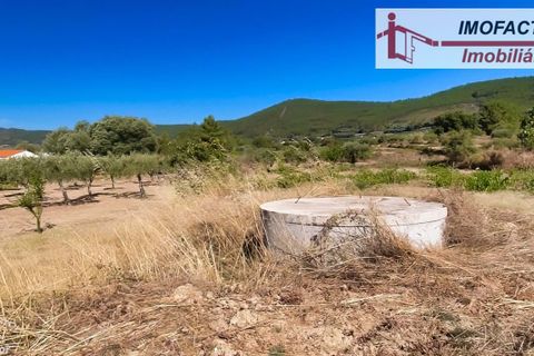 Farm hus i Vale de Prazeres e Mata da Rainha, Castelo Branco, Vale de Prazeres e Mata da Rainha - € 39.500 | Ref: 21-11798 - foto 15