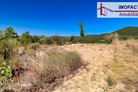 Farm hus i Vale de Prazeres e Mata da Rainha, Castelo Branco, Vale de Prazeres e Mata da Rainha - € 39.500 | Ref: 21-11798 - foto 17