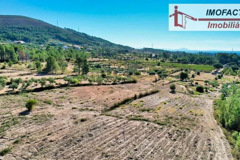 Farm hus i Vale de Prazeres e Mata da Rainha, Castelo Branco, Vale de Prazeres e Mata da Rainha - € 39.500 | Ref: 21-11798 - foto 18