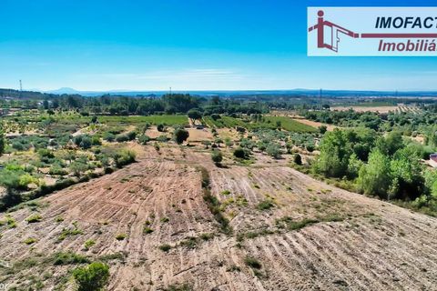 Farm hus i Vale de Prazeres e Mata da Rainha, Castelo Branco, Vale de Prazeres e Mata da Rainha - € 39.500 | Ref: 21-11798 - foto 19
