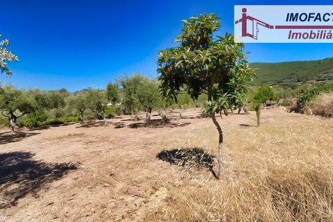 Farm hus i Vale de Prazeres e Mata da Rainha, Castelo Branco, Vale de Prazeres e Mata da Rainha - € 39.500 | Ref: 21-11798 - foto 23
