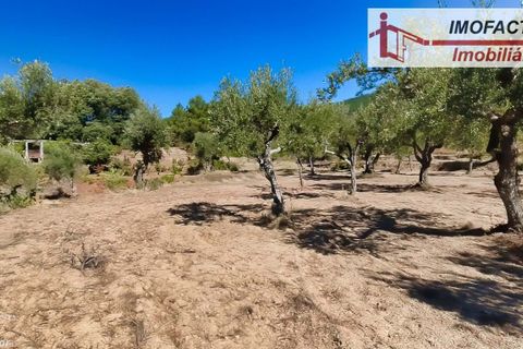 Farm hus i Vale de Prazeres e Mata da Rainha, Castelo Branco, Vale de Prazeres e Mata da Rainha - € 39.500 | Ref: 21-11798 - foto 24