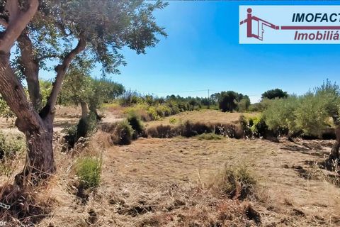 Farm hus i Vale de Prazeres e Mata da Rainha, Castelo Branco, Vale de Prazeres e Mata da Rainha - € 39.500 | Ref: 21-11798 - foto 26