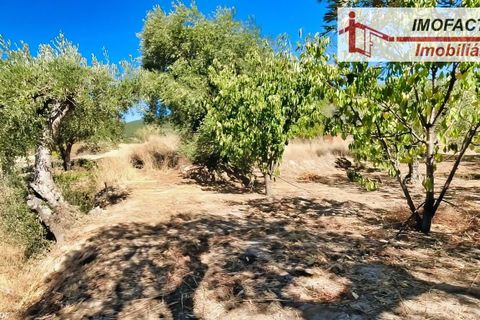 Farm hus i Vale de Prazeres e Mata da Rainha, Castelo Branco, Vale de Prazeres e Mata da Rainha - € 39.500 | Ref: 21-11798 - foto 29