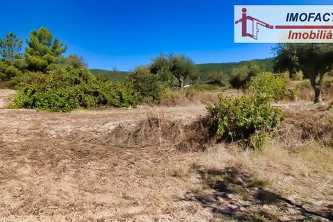 Farm hus i Vale de Prazeres e Mata da Rainha, Castelo Branco, Vale de Prazeres e Mata da Rainha - € 39.500 | Ref: 21-11798 - foto 30