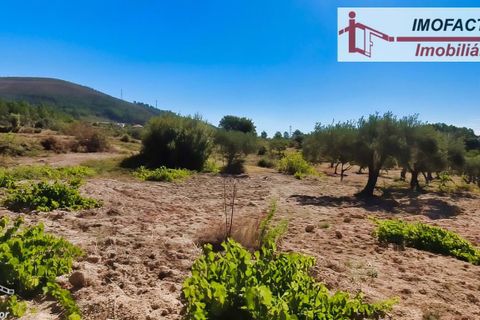 Farm hus i Vale de Prazeres e Mata da Rainha, Castelo Branco, Vale de Prazeres e Mata da Rainha - € 39.500 | Ref: 21-11798 - foto 31
