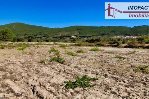 Farm hus i Vale de Prazeres e Mata da Rainha, Castelo Branco, Vale de Prazeres e Mata da Rainha - € 39.500 | Ref: 21-11798 - foto 32