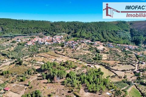Farm hus i Vale de Prazeres e Mata da Rainha, Castelo Branco, Vale de Prazeres e Mata da Rainha - € 39.500 | Ref: 21-11798 - foto 36