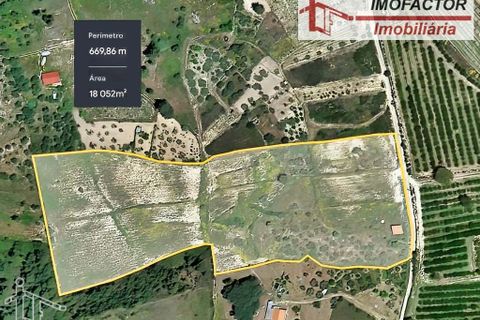 Farm hus i Vale de Prazeres e Mata da Rainha, Castelo Branco, Vale de Prazeres e Mata da Rainha - € 39.500 | Ref: 21-11798 - foto 37