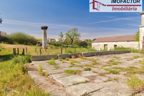Farm hus i Castelo Branco, Castelo Branco, Castelo Branco - € 364.000 | Ref: 21-11690 - foto 1