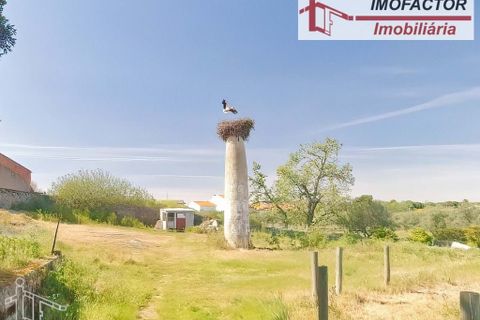 Farm hus i Castelo Branco, Castelo Branco, Castelo Branco - € 364.000 | Ref: 21-11690 - foto 2