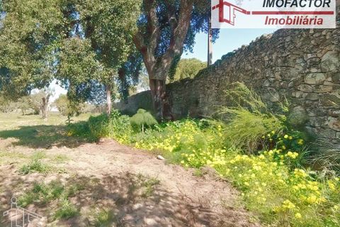 Farm hus i Castelo Branco, Castelo Branco, Castelo Branco - € 364.000 | Ref: 21-11690 - foto 4